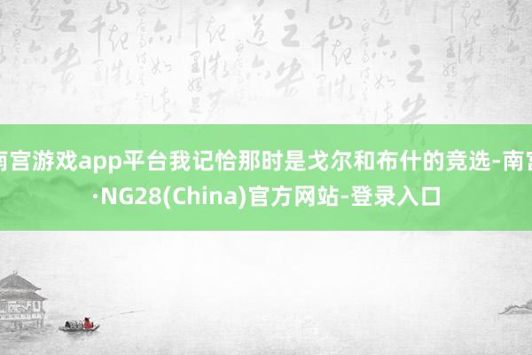 南宫游戏app平台我记恰那时是戈尔和布什的竞选-南宫·NG28(China)官方网站-登录入口