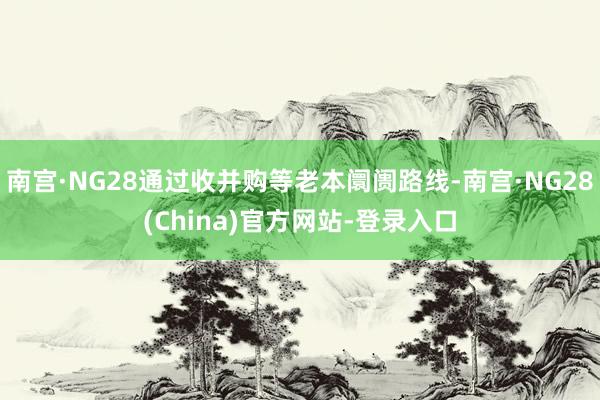 南宫·NG28通过收并购等老本阛阓路线-南宫·NG28(China)官方网站-登录入口