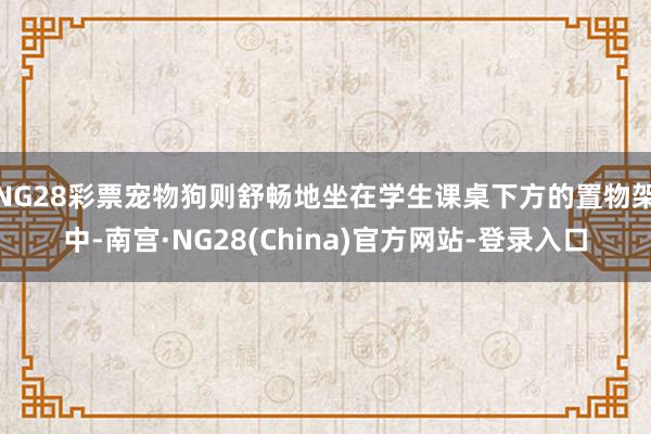 NG28彩票宠物狗则舒畅地坐在学生课桌下方的置物架中-南宫·NG28(China)官方网站-登录入口