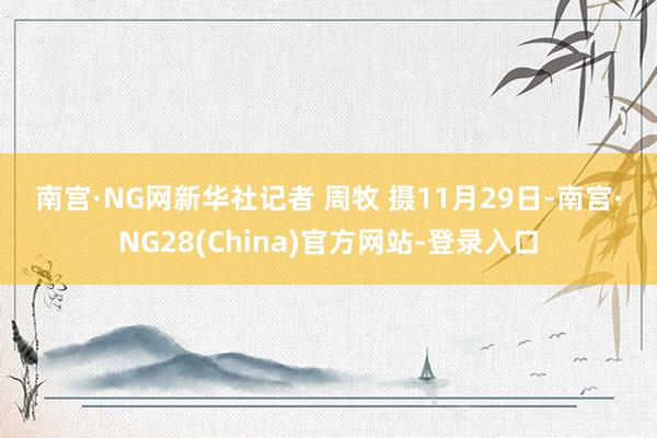 南宫·NG网　　新华社记者 周牧 摄　　11月29日-南宫·NG28(China)官方网站-登录入口